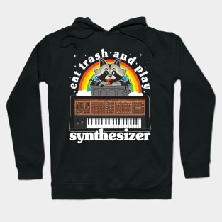 Eat Trash And Play Synthesizer Funny Synths Racoon Hoodie